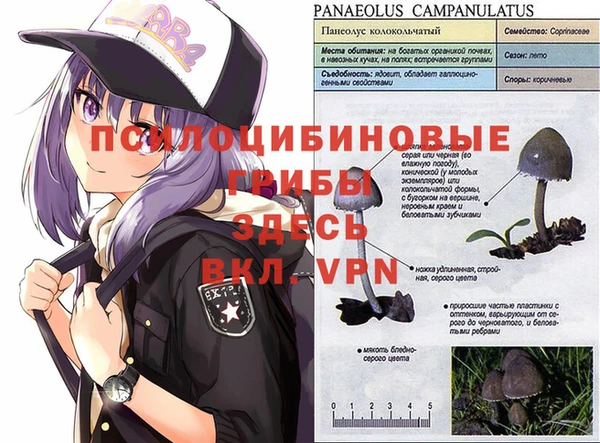 соль курить ск Арсеньев