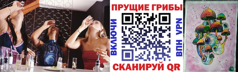 купить  цена  Заполярный  Галлюциногенные грибы GOLDEN TEACHER 